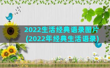 2022生活经典语录图片(2022年经典生活语录)