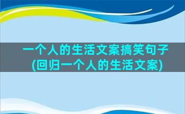 一个人的生活文案搞笑句子(回归一个人的生活文案)