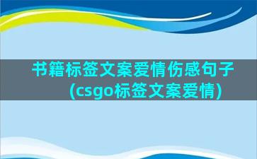 书籍标签文案爱情伤感句子(csgo标签文案爱情)