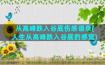 从高峰跌入谷底伤感语录(人生从高峰跌入谷底的感觉)