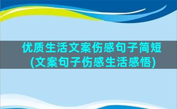 优质生活文案伤感句子简短(文案句子伤感生活感悟)