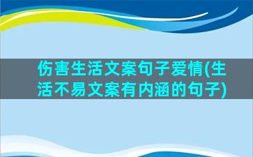 伤害生活文案句子爱情(生活不易文案有内涵的句子)