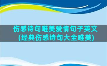 伤感诗句唯美爱情句子英文(经典伤感诗句大全唯美)