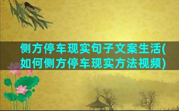 侧方停车现实句子文案生活(如何侧方停车现实方法视频)