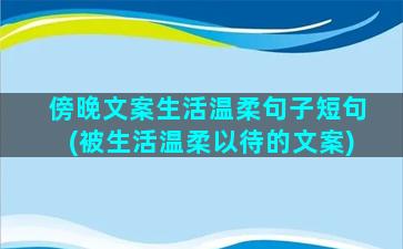 傍晚文案生活温柔句子短句(被生活温柔以待的文案)