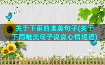 关于下雨的唯美句子(关于下雨唯美句子说说心情短语)