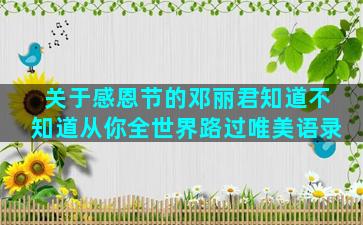 关于感恩节的邓丽君知道不知道从你全世界路过唯美语录