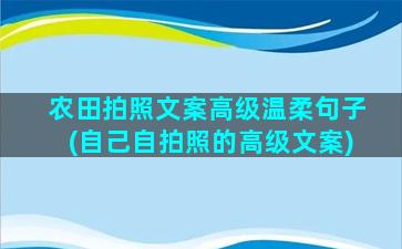 农田拍照文案高级温柔句子(自己自拍照的高级文案)