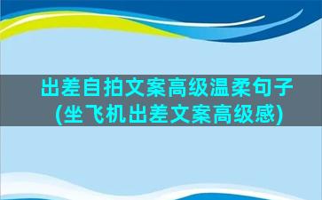 出差自拍文案高级温柔句子(坐飞机出差文案高级感)