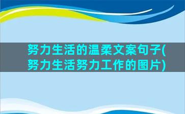 努力生活的温柔文案句子(努力生活努力工作的图片)