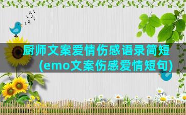 厨师文案爱情伤感语录简短(emo文案伤感爱情短句)