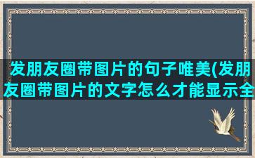 发朋友圈带图片的句子唯美(发朋友圈带图片的文字怎么才能显示全文)