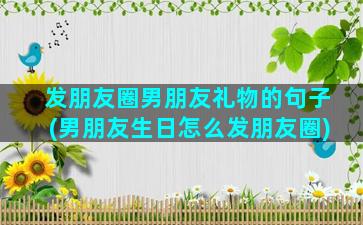 发朋友圈男朋友礼物的句子(男朋友生日怎么发朋友圈)