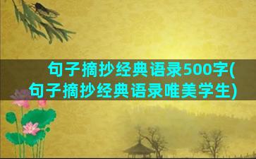 句子摘抄经典语录500字(句子摘抄经典语录唯美学生)