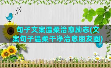 句子文案温柔治愈励志(文案句子温柔干净治愈朋友圈)