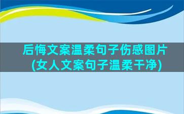 后悔文案温柔句子伤感图片(女人文案句子温柔干净)