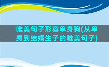 唯美句子形容单身狗(从单身到结婚生子的唯美句子)