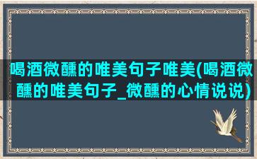 喝酒微醺的唯美句子唯美(喝酒微醺的唯美句子_微醺的心情说说)