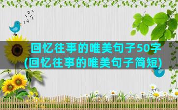 回忆往事的唯美句子50字(回忆往事的唯美句子简短)