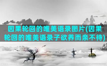 因果轮回的唯美语录图片(因果轮回的唯美语录子欲养而亲不待)