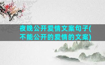 夜晚公开爱情文案句子(不能公开的爱情的文案)