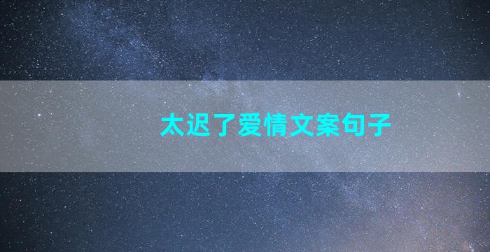 太迟了爱情文案句子