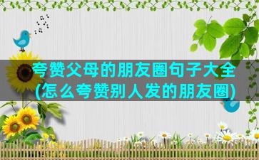 夸赞父母的朋友圈句子大全(怎么夸赞别人发的朋友圈)