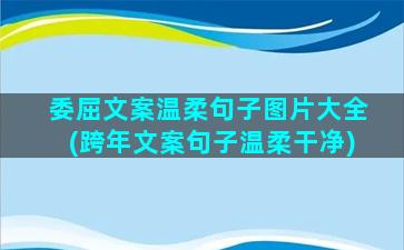 委屈文案温柔句子图片大全(跨年文案句子温柔干净)