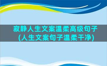 寂静人生文案温柔高级句子(人生文案句子温柔干净)