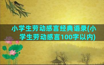 小学生劳动感言经典语录(小学生劳动感言100字以内)