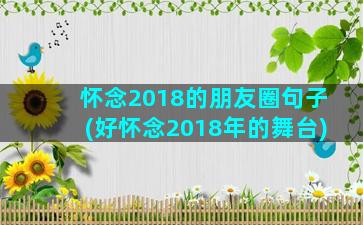 怀念2018的朋友圈句子(好怀念2018年的舞台)