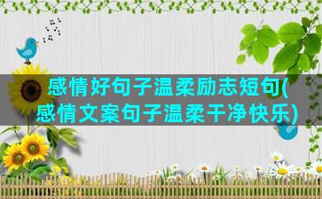 感情好句子温柔励志短句(感情文案句子温柔干净快乐)