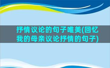 抒情议论的句子唯美(回忆我的母亲议论抒情的句子)