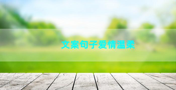 文案句子爱情温柔