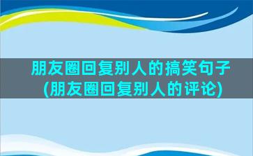 朋友圈回复别人的搞笑句子(朋友圈回复别人的评论)