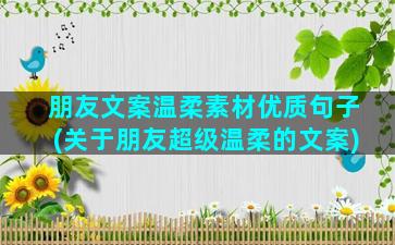 朋友文案温柔素材优质句子(关于朋友超级温柔的文案)