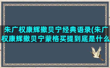 朱广权康辉撒贝宁经典语录(朱广权康辉撒贝宁蒙格买提到底是什么关系四个人)