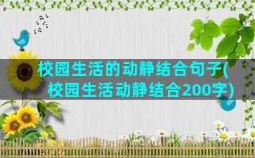 校园生活的动静结合句子(校园生活动静结合200字)