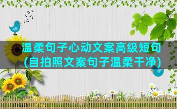 温柔句子心动文案高级短句(自拍照文案句子温柔干净)