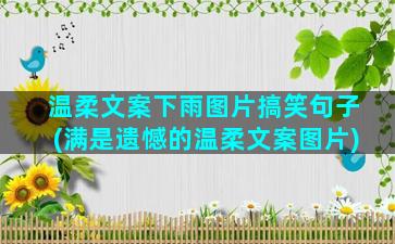 温柔文案下雨图片搞笑句子(满是遗憾的温柔文案图片)