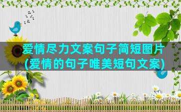 爱情尽力文案句子简短图片(爱情的句子唯美短句文案)