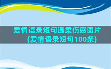 爱情语录短句温柔伤感图片(爱情语录短句100条)