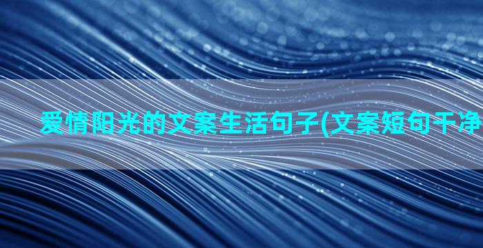 爱情阳光的文案生活句子(文案短句干净爱情阳光)