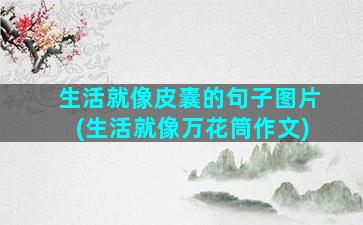 生活就像皮囊的句子图片(生活就像万花筒作文)