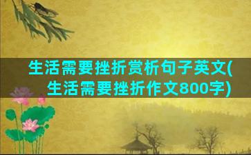 生活需要挫折赏析句子英文(生活需要挫折作文800字)