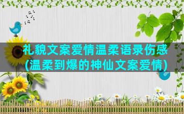 礼貌文案爱情温柔语录伤感(温柔到爆的神仙文案爱情)