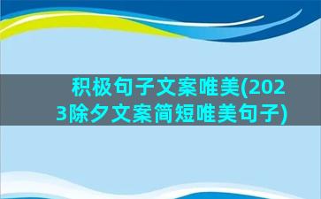 积极句子文案唯美(2023除夕文案简短唯美句子)