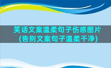 笑话文案温柔句子伤感图片(告别文案句子温柔干净)