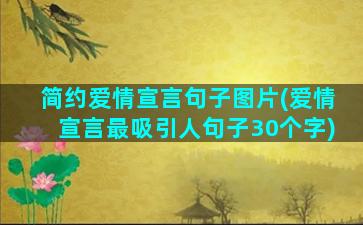 简约爱情宣言句子图片(爱情宣言最吸引人句子30个字)