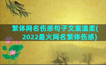 繁体网名伤感句子文案温柔(2022最火网名繁体伤感)